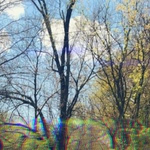 Meet your Posher, Raychanel